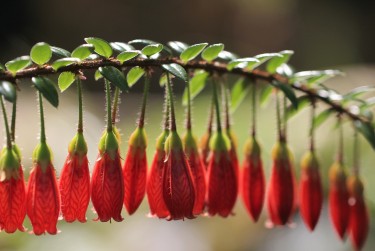 惠州淡水私人快速借钱网，轻松解决资金难题