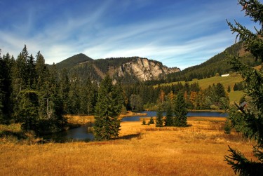 惠州淡水民间私贷攻略：揭秘低成本借贷的秘密