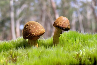 惠州淡水私人老板放款：轻松融资的秘密通道